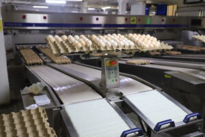 Ak Kuu poultry farm